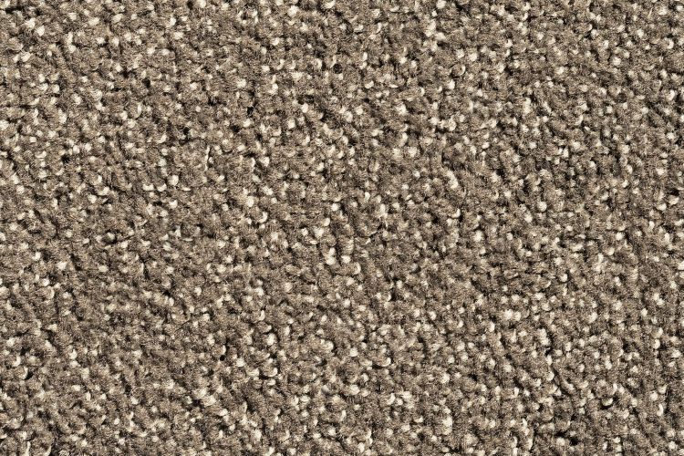 LOUVRE - Coloris Taupe - Taille 200cm x 100cm